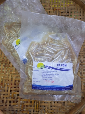 Cá Cơm - Thiên Nhiên